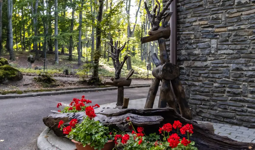 4 vszak Hegyihotel Mtrahza - Oktber 23. (min. 2 j)