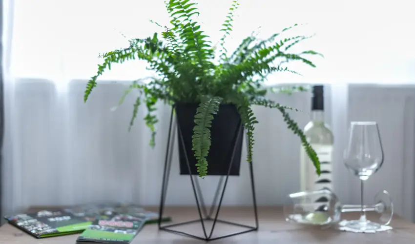 4 vszak Vlgyhotel Mtrafred - Oktber 23.