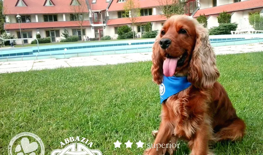 Abbzia Country Club Nemesnp - Oktber 23. 