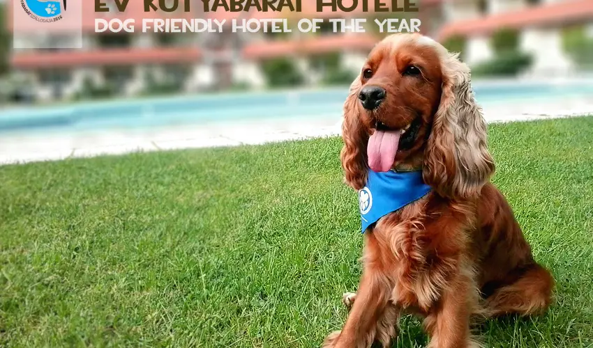 Abbzia Country Club Nemesnp - Oktber 23. 