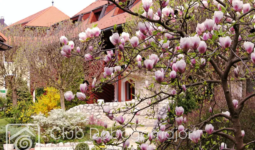 Club Dobogómajor Cserszegtomaj - Október 23. (min. 2 éj)