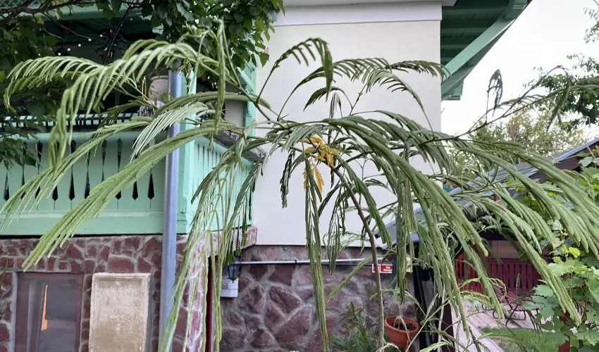 dm Apartman Balatonfldvr - Oktber 23. 