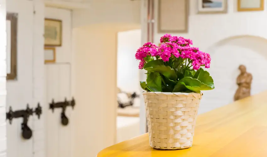 dm Apartman Balatonfldvr - Oktber 23. 