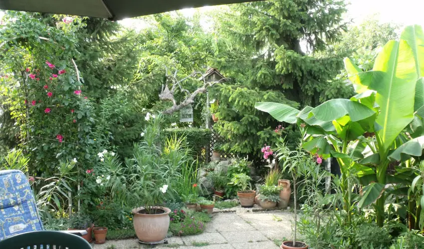 Agod Apartman Gyula - Oktber 23. (min. 3 j)