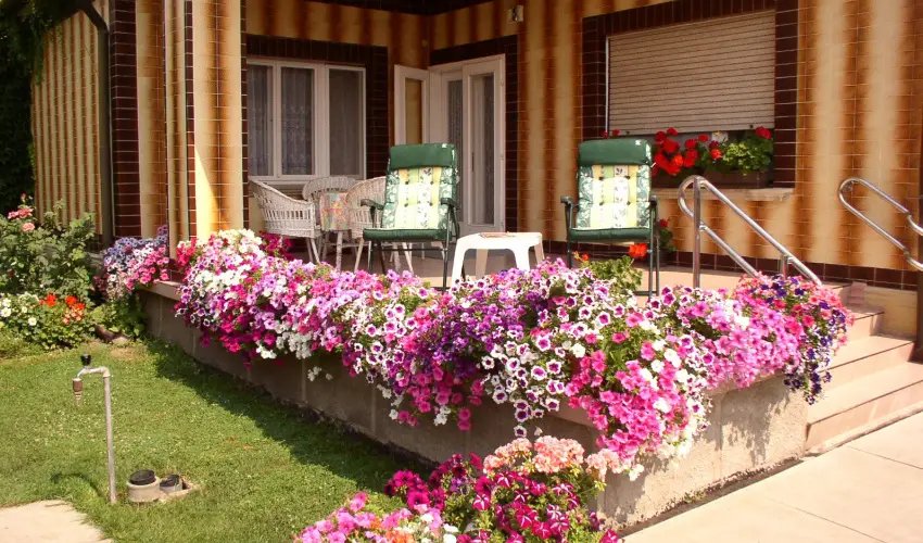 Amlia Apartman Gyula - Oktber 23. (min. 3 j)