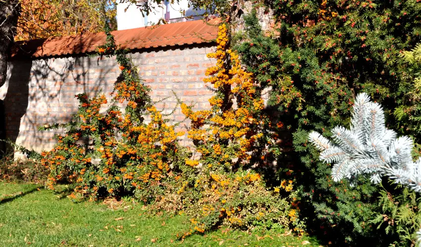 Ametiszt Hotel Hark�ny - Okt�ber 23. (min. 2 �j)
