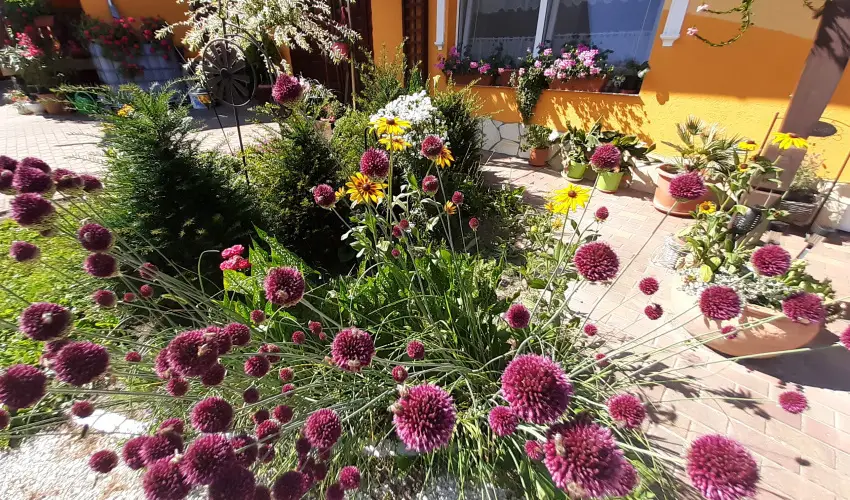 Andrea Vendghz Kehidakustny - Oktber 23. (min. 2 j)