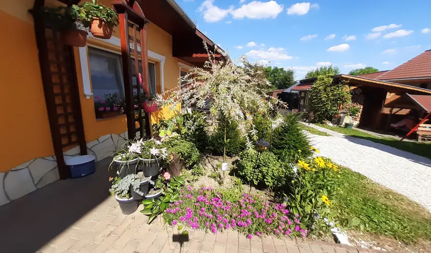 Andrea Vendghz Kehidakustny - Oktber 23. (min. 2 j)