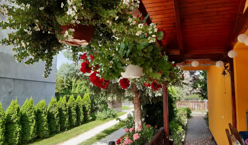 Andrea Vendghz Kehidakustny - Oktber 23. (min. 2 j)