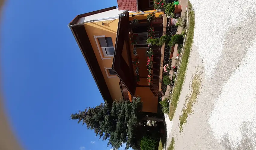 Andrea Vendghz Kehidakustny - Oktber 23. (min. 2 j)