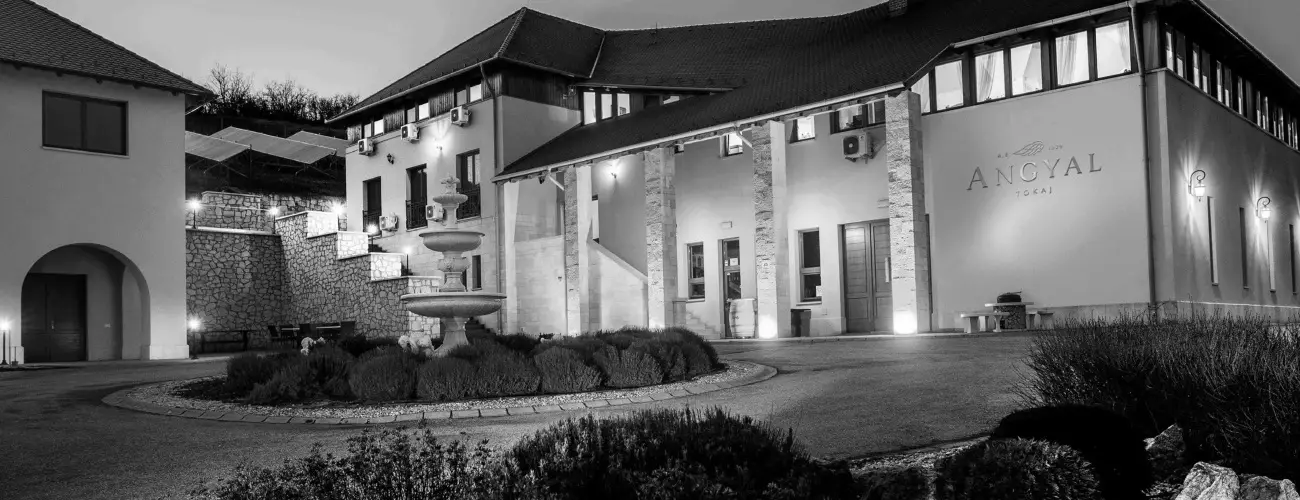 Angyal Borszat Rtka - Oktber 23. (min. 2 j)