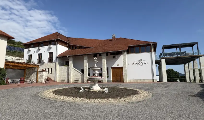 Angyal Borszat Rtka - Oktber 23. (min. 2 j)