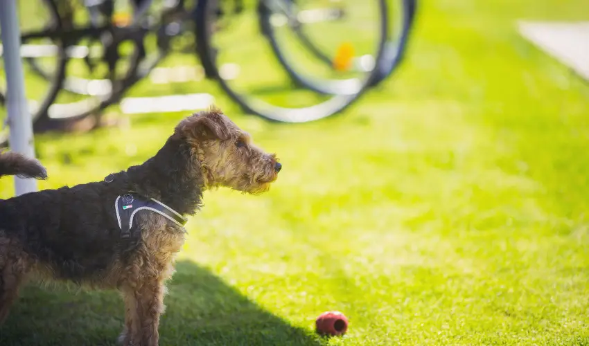 Apartman Szanyi Bk, Bkfrd - Oktber 23.