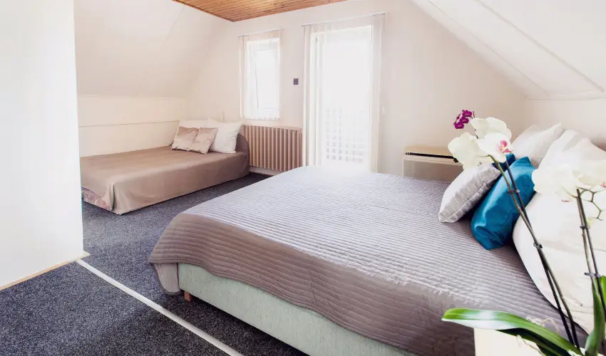 Apartman Szanyi Bk, Bkfrd - Oktber 23.