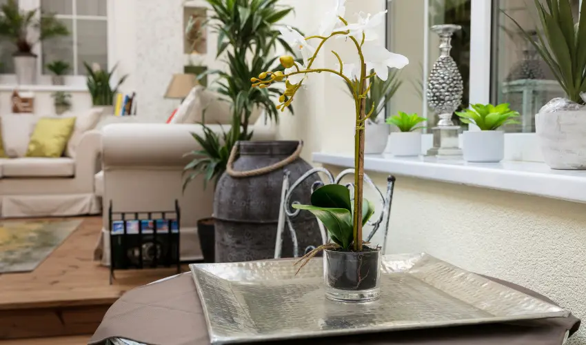 Aquasol Resort Mosonmagyarvr - Oktber 23. 