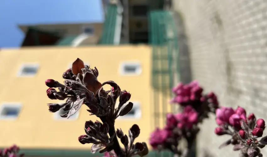 Aquatherm Hotel Zalakaros - Okbber 23. (min. 2 j)