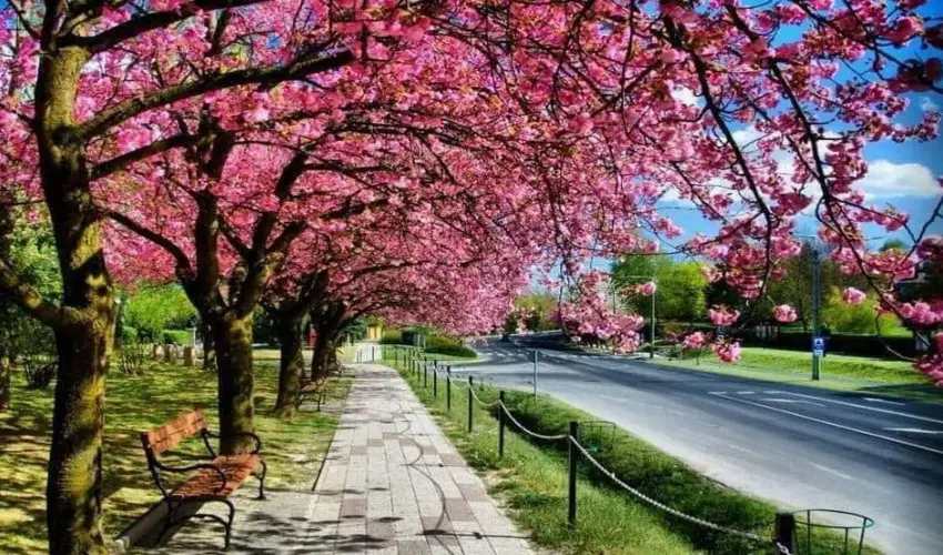 Arany Apartmanhz Zalagyngye  Zalakaros - Oktber 23. (min. 2 j)