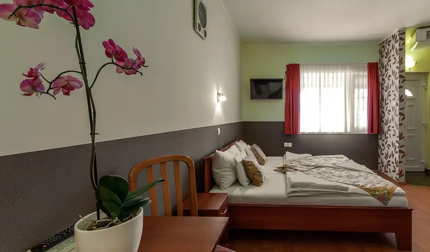 Aranypatk� Panzi� Gy�r�jbar�t - Okt�ber 23.