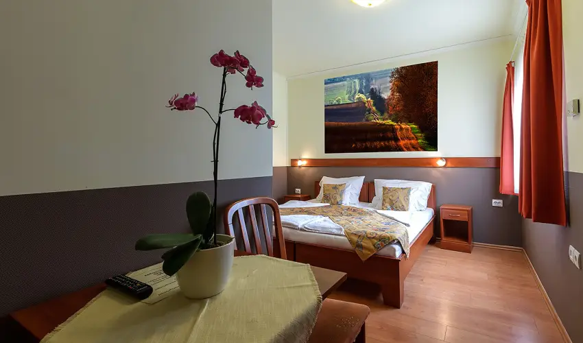 Aranypatk� Panzi� Gy�r�jbar�t - Okt�ber 23.