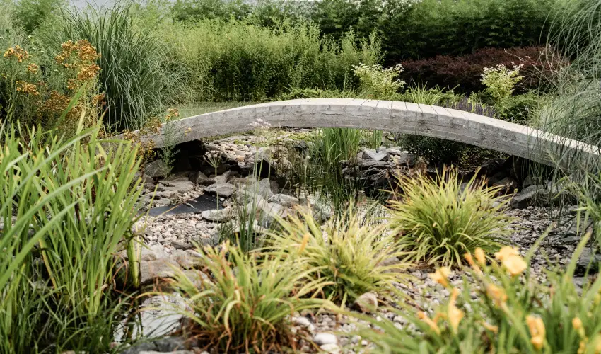 Arcanum Hotel Bkscsaba - Oktber 23. 