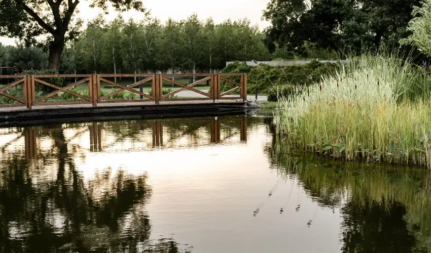 Arcanum Hotel Bkscsaba - Oktber 23. 