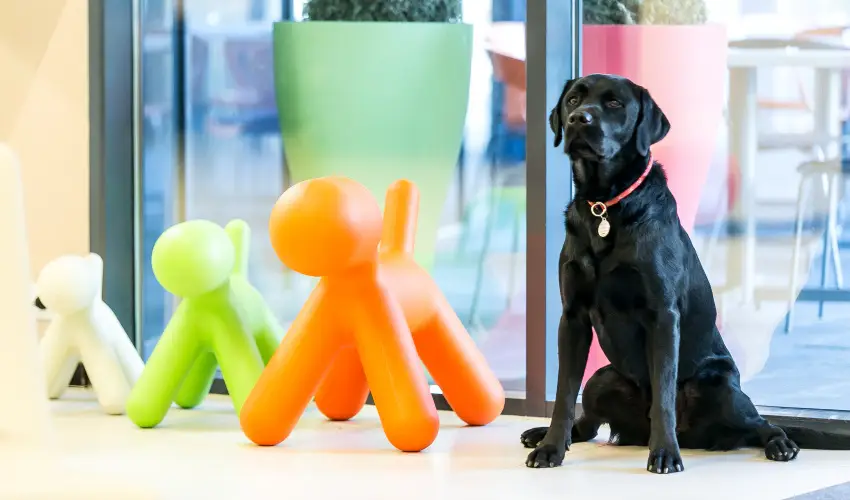 Art Hotel Szeged Szeged - Oktber 23. - specilis elrefizetssel