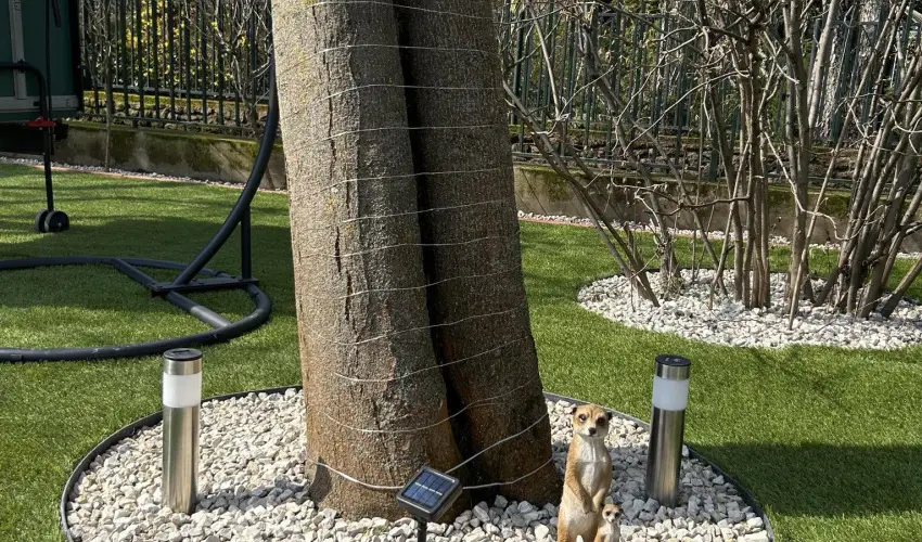 Aventurin House Rvflp - Oktber 23. (min. 2 j)