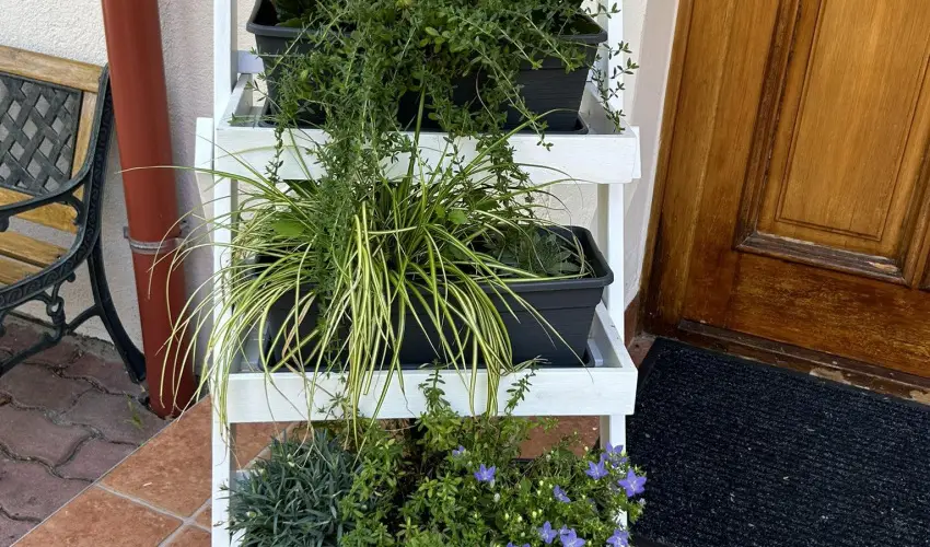 Aventurin House Rvflp - Oktber 23. (min. 2 j)