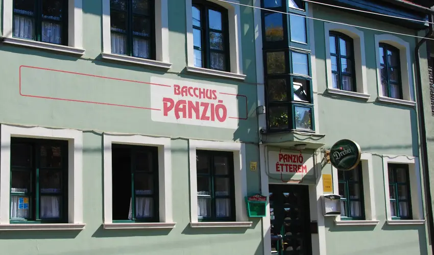 Bacchus Panzi Eger - Oktber 23. (min. 2 j)