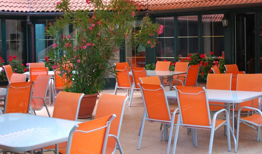 Bacchus Panzi Eger - Oktber 23. (min. 2 j)