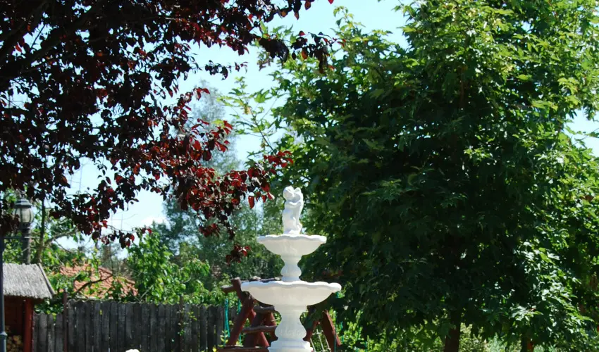 Bacchus Panzi Eger - Oktber 23. (min. 2 j)