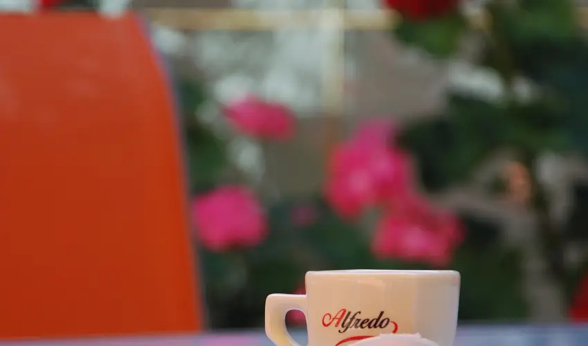 Bacchus Panzi Eger - Oktber 23. (min. 2 j)