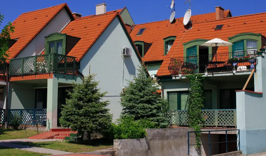 Bacchus Panzi Eger - Oktber 23. (min. 2 j)