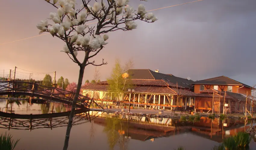 Bagolyvr Inrcs Inrcs - Oktber 23. 