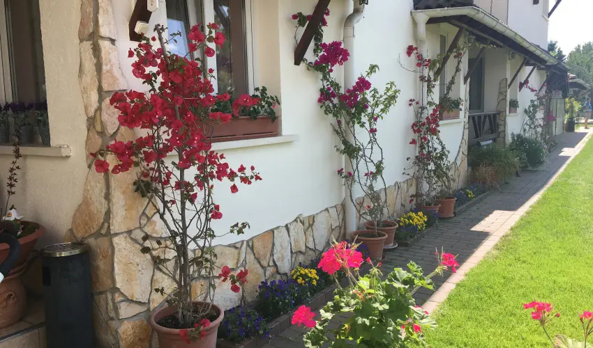 Bagolyvr Inrcs Inrcs - Oktber 23. 