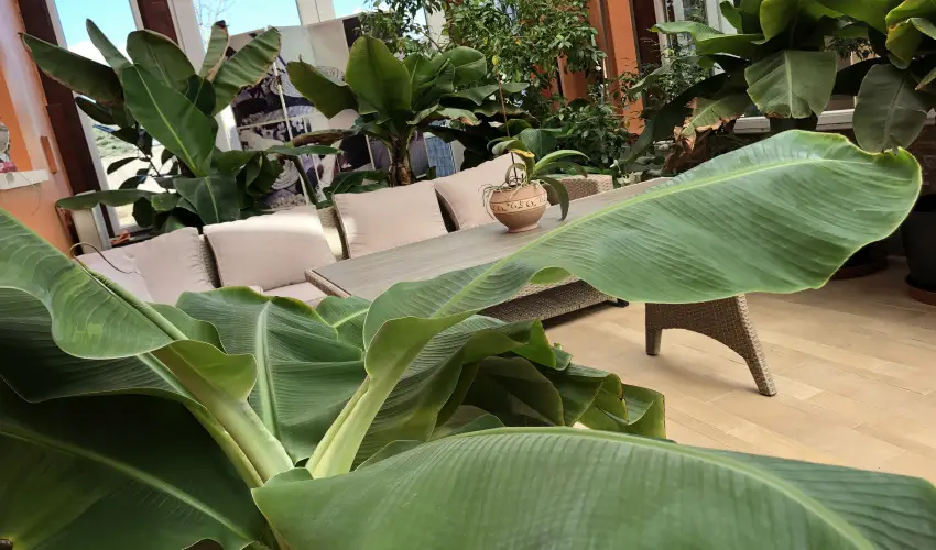 Bagolyvr Inrcs Inrcs - Oktber 23. 