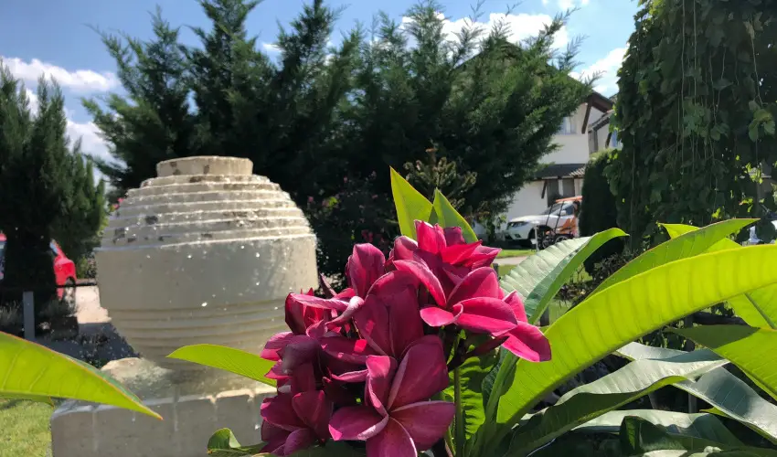 Bagolyvr Inrcs Inrcs - Oktber 23. 