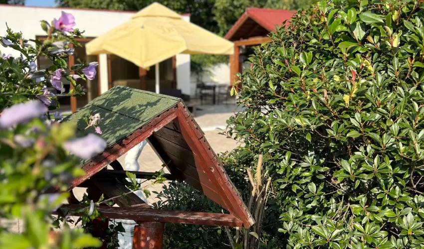 Bajor Panzi Aparthotel Bk, Bkfrd - Oktber 23.