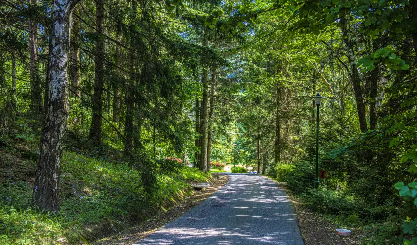Hotel Bakony Bakonybl - Oktber 23.