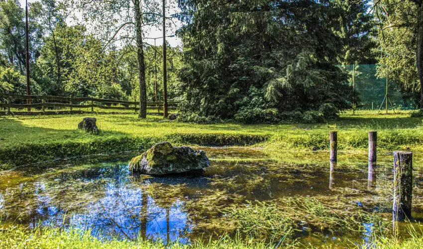 Hotel Bakony Bakonybl - Oktber 23.