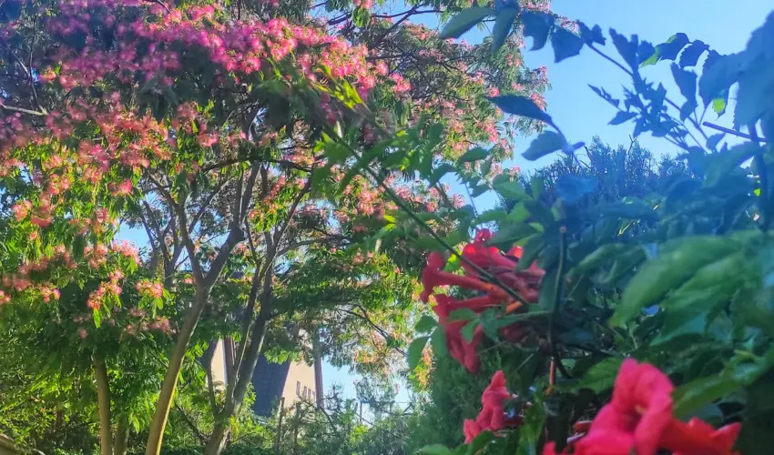 Balla Apartmanhz Sifok - Oktber 23. (min. 2 j)