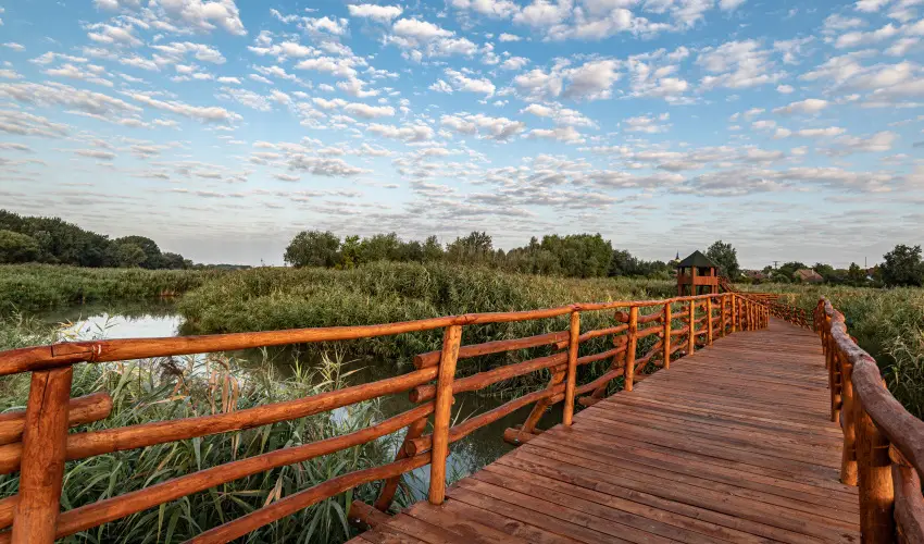 Barack Thermal Apartmanok Tiszakcske - Oktber 23. (min. 2 j)