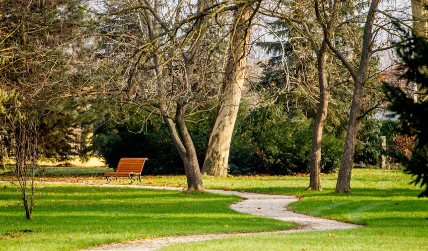 Batthyny Kria Zalacsny - Oktber 23. 