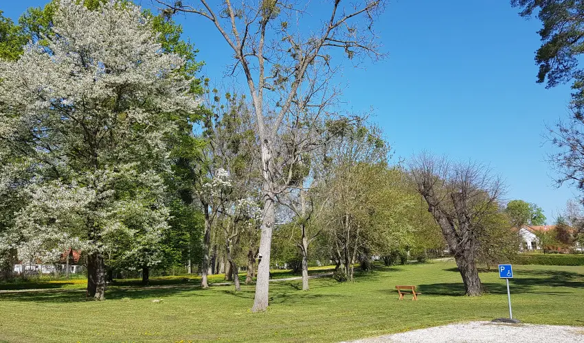 Batthyny Kria Zalacsny - Oktber 23. 