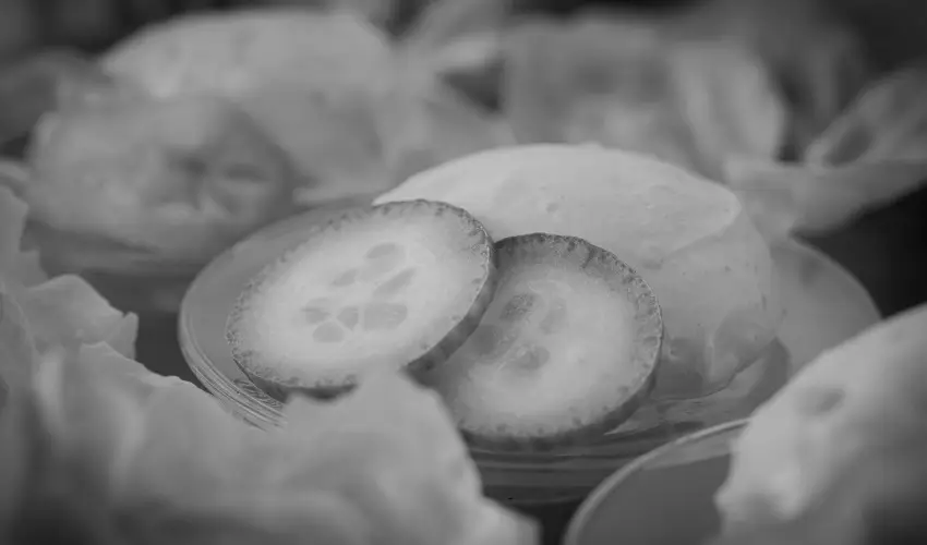 Bazilika alatti Panzi Esztergom - Oktber 23. 