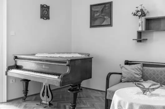 Belvrosi Zongors Apartman - Oktber 23.