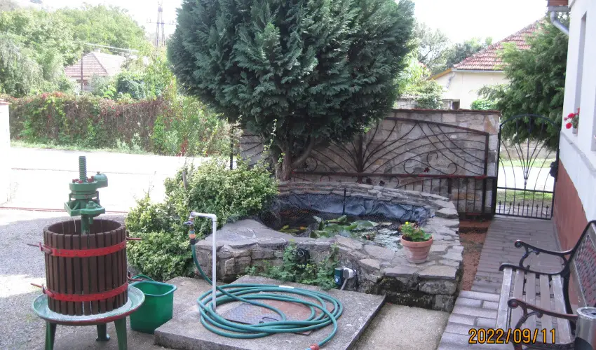 Bnyei Fogad s tterem Erdbnye - Oktber 23.