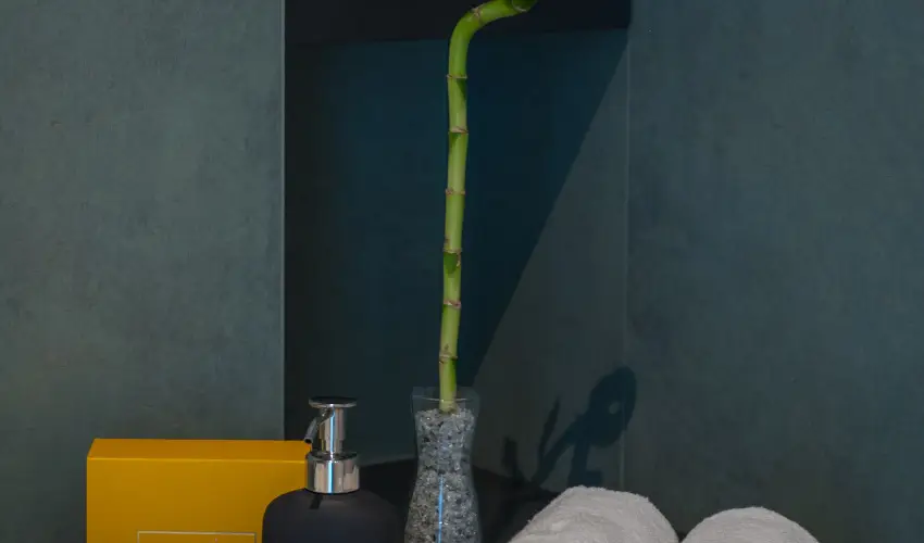 BJ81 Suite Hotel Sifok - Oktber 23. - teljes elrefizetssel (min. 3 j)