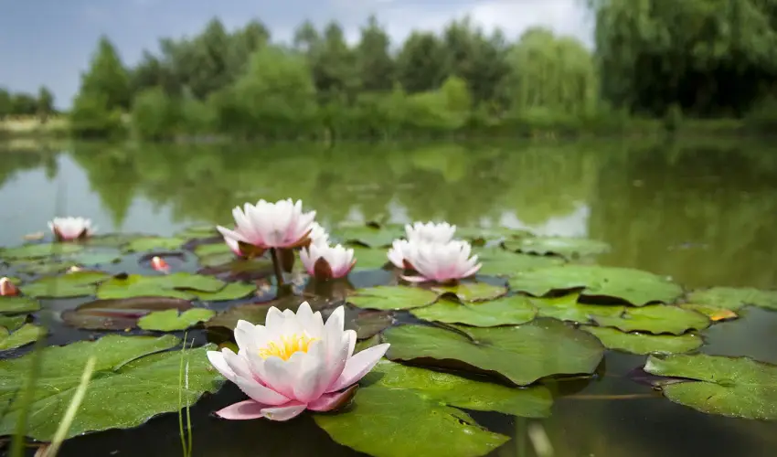 Bodrogi Kria Wellness Hotel Inrcs - Oktber 23.