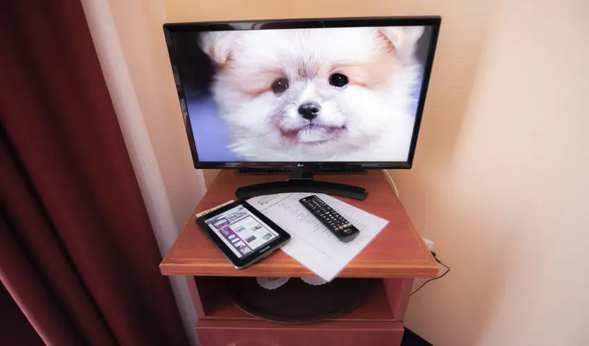 Boglrka Panzi-tterem  Mezkvesd - Oktber 23. (min. 3 j)